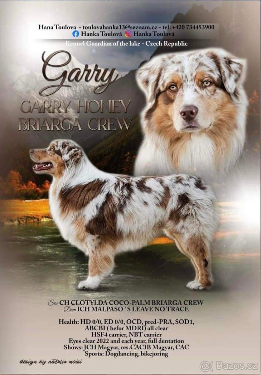 AUO krycí pes Garry s PP
