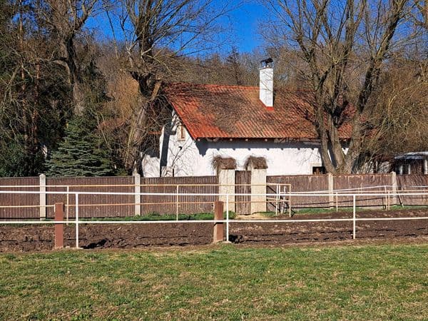 Asistentka, hospodyně a práce u koní